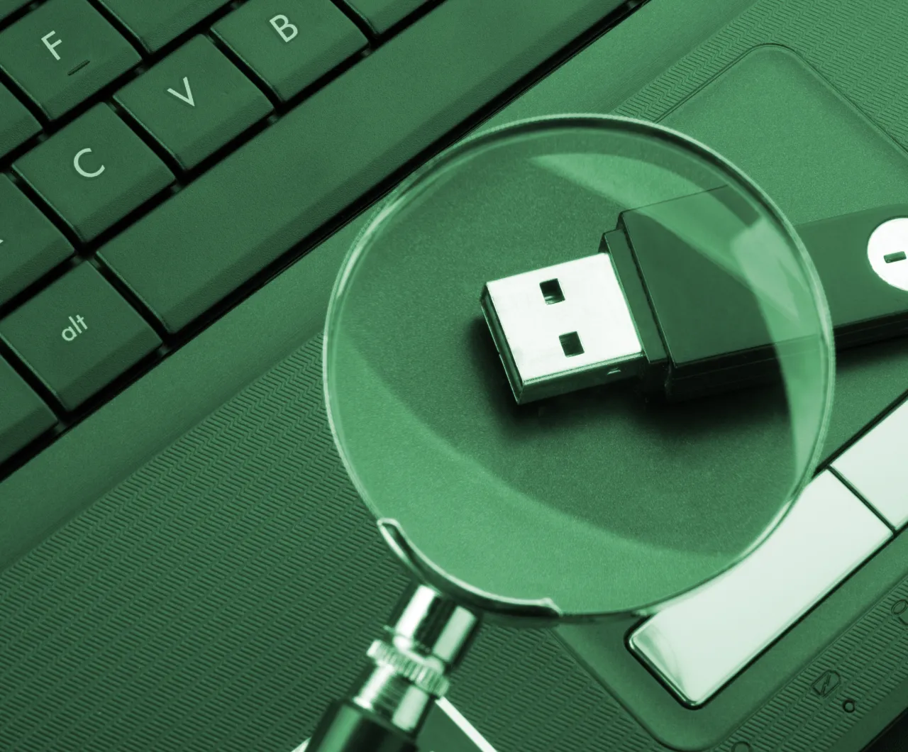 사실 관계 확인