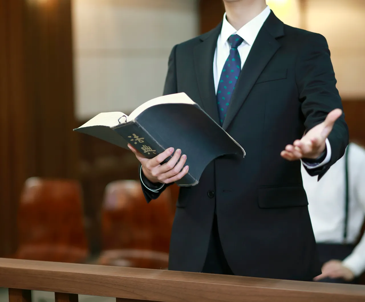 영장실질심사 대응